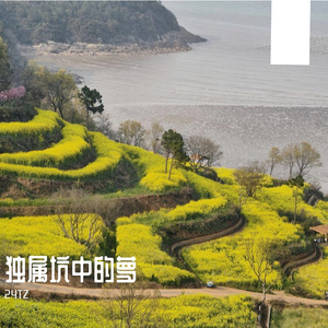 恶龙之困与地头蛇力