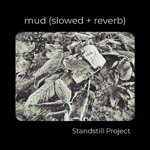 mud (slowed + reverb)