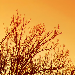 青春的尽头从来不是十八岁