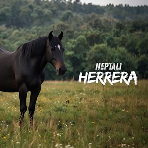 Esculcando el Celular