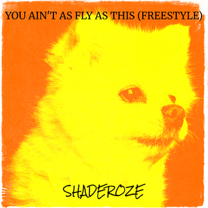 You Ain't as Fly as This (Freestyle)