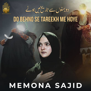 Karbala Main Kya Bataen Kya Kya Dekha