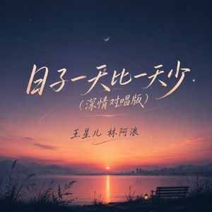 日子一天比一天少(深情对唱版)