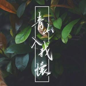 青山入我怀