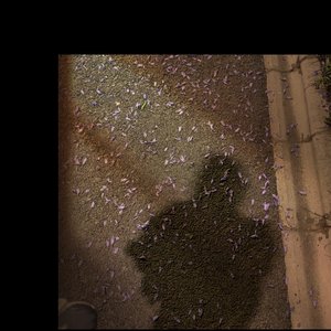 余晖会被记起(prod.by SamueWang)