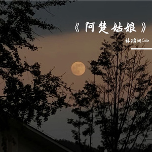 阿楚姑娘