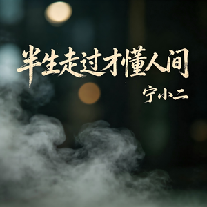 半生走过才懂人间