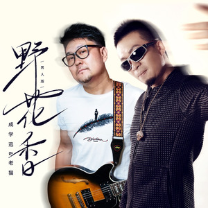 野花香(男人翊轩版伴奏)