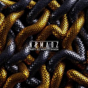 Party All Night (feat. DVMON)