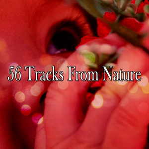 The Slow Binaural Chime