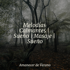 Conexiones Rítmicas