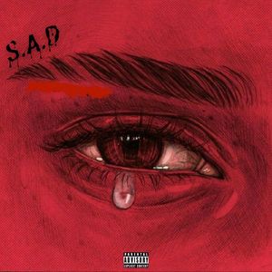DSP(Bonus Track)