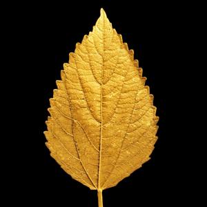 shitown gang pt2(Prod.Andyr)