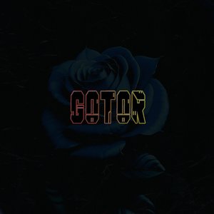 Gotor