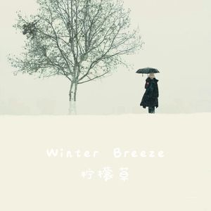 Winter Breeze