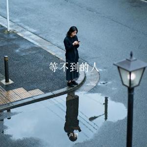 向光奔赴