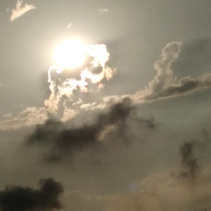 さくらの散る季節