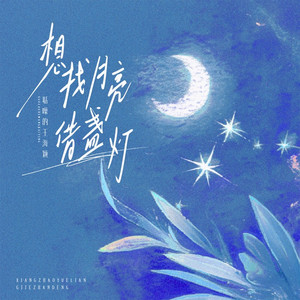 想找月亮借盏灯