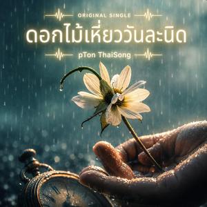 ดอกไม้เหี่ยววันละนิด