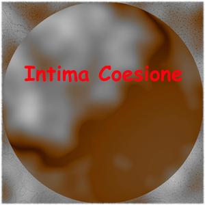 Intima Coesione
