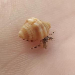 陈立鑫 - 三十岁的女人