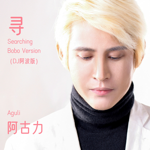 寻 (DJ阿波版)