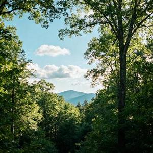 宽容 (Cover 张信哲)