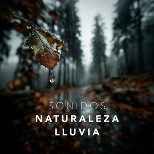 Sonidos Naturaleza Lluvia (P23)