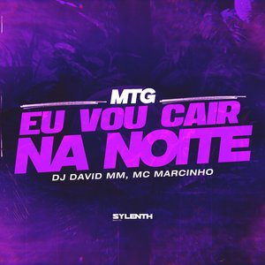 Mtg Eu Vou Cair na Noite (feat. MC Marcinho)