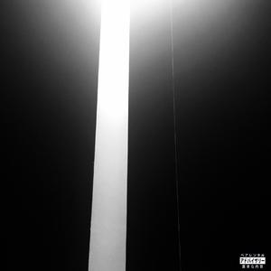 寒风中互相依偎