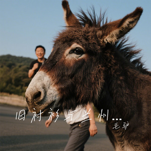 旧衬衫与兰州面