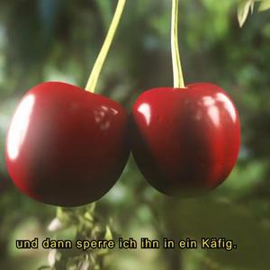 DICKE DING