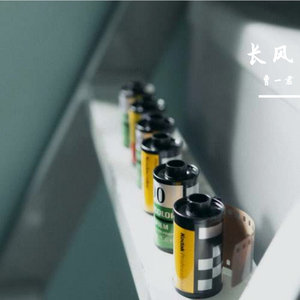 龟背蛇莓（《西出玉门》印象曲）