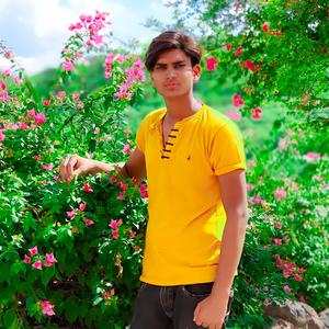 Kaif Aryan Dahngal