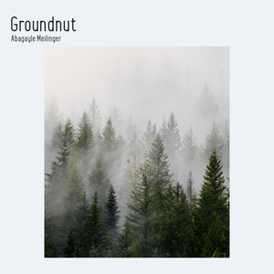 Groundnut