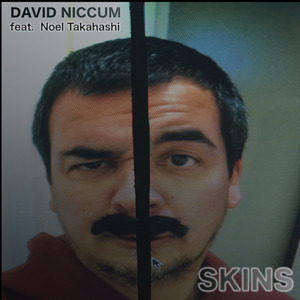Skins