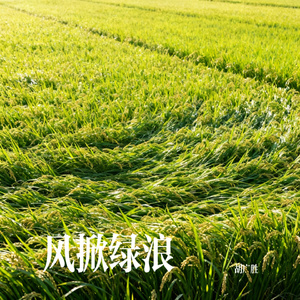 风掀绿浪
