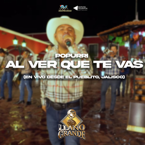 Popurri Despecho: Al ver que te vas / Besos y Copas (En Vivo)