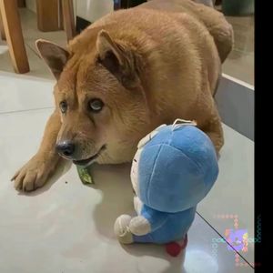 航嗯的移动城堡马桶~~