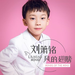 风的翅膀