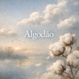 Algodão