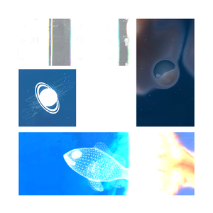 セイカンユウギョ (feat. 知声)