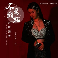 不爱我就别欺骗我 (DJ默涵版)