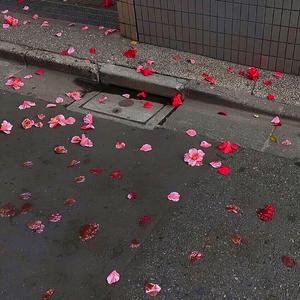 烂俗套路[prod by RoyalBoi]