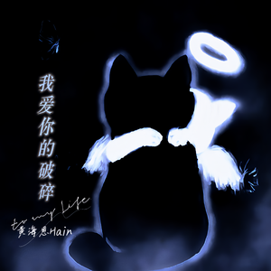 我爱你的破碎