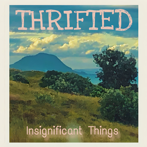 Insignificant Things