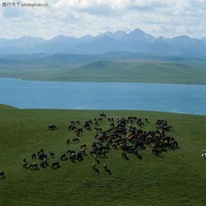 冲淡复杂的忙碌