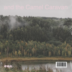 and the Camel Caravan 2