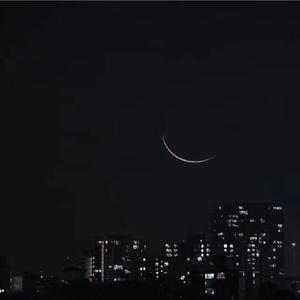 Tayler Prouse-厌（9uoZ remix）