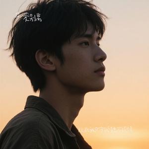 从此我只守孤独不谈情